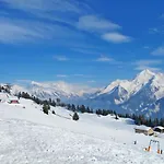 Appartement Gredler-1 By Interhome Mayrhofen